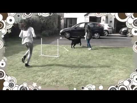 "Runaway Baby" by superstars