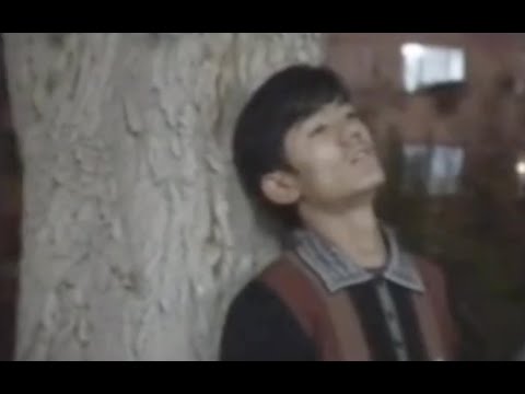 soygan bir seni - zulpikar alim / uyghur nahxa / uyghur gittar