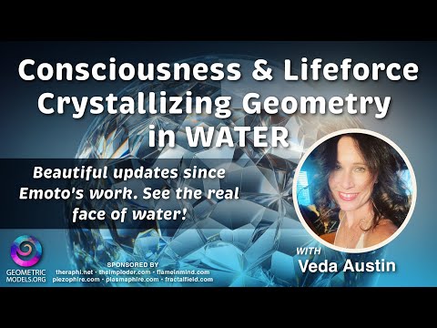 FractalU Veda Austin - Consciousness & Lifeforce Geometry in WATER & Dan Winter: Physics of Soul