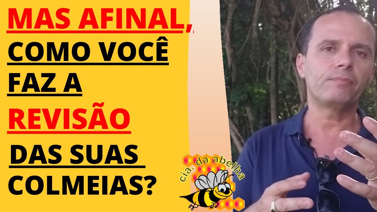 AFINAL, O QUE REVISAR NO APIÁRIO???