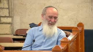 יסוד השלטון הדמוקרטי בתורה – שיעור 4 – ספר יהושע