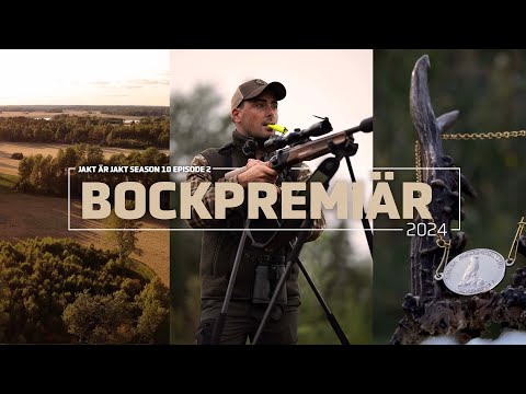 Rehbockjagd 2024 | Jakt är Jakt
