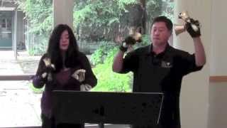 Larry and Carla - Greensleeves / What Child is This (Handbell Duet, with squirrel)