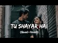 🎧Slowed and Reverb Songs | Tu Shayar Hai Main Teri Shayari | RAJIB 801