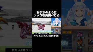 野ウサギに秒でツッコむ兎田ぺこら #兎田ぺこら #ホロライブ