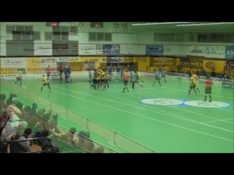 Maalikooste PSS - Blue Fox.wmv