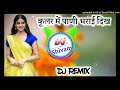 कूलर मैं पाणी ब्राई दिख DJ Remix Meena Geet 2024 Dharmraj Meen