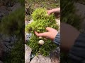 Wow It Was Cool Camping Survival Bushcraft Outdoors Cook Cooking