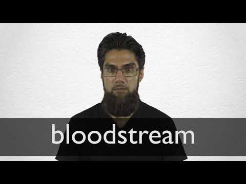 BLOODSTREAM definition and meaning