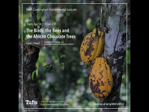 , title : 'The Birds, the Bees and the African Chocolate Trees'