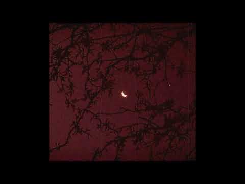 [FREE]Bones X Pharaoh X Xxxtentacion Type Beat "Moon"