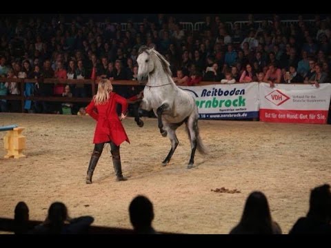 Hero Merkel: Liberty-Show mit Choco in Dortmund 2016