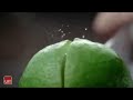 Iklan Sprite Indonesia Antara Ucapan Kenyataan NoBoKis 30s 2018
