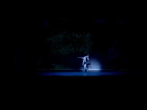 CINDERELLA ACT 3  LAST PAS DE DEUX CHOREOGRAPHY MAINA GIELGUD WITH VENUS VILLA AND ROLANDO SARABIA A