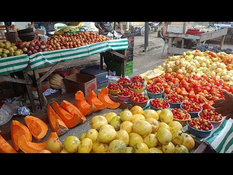 VEJA A FEIRA DO NORDESTE COMO VOCÊ NUNCA VIU EM MARAIAL-PE | PT.4