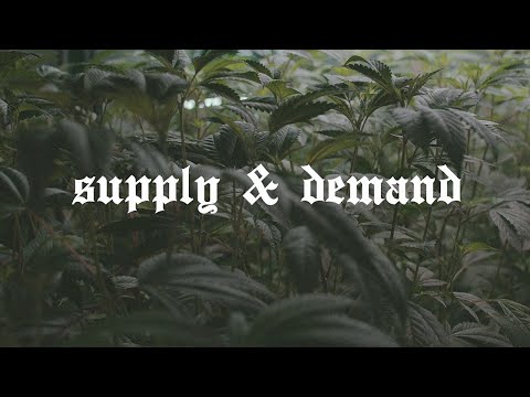 DEMRICK - SUPPLY & DEMAND (OFFICIAL MUSIC VIDEO)