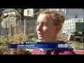 Northeast KC Woman Helps Turn Vacant Lot Into Community Garden