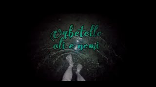 COSTA! - Orbetello ali e nomi (Official Lyric video) Cover di Flavio Giurato
