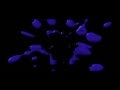 Klasky Csupo Robot Logo 2002 Newer Version
