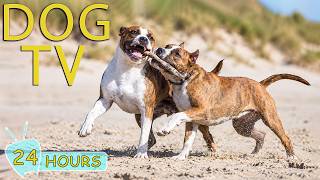 DOG TV: Videos All-Day Entertain for Dogs to Watch While Home Alone - 