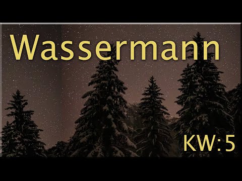 ♒ Wassermann - KW 5 ♒  -  Tarot Wochenausblick  -