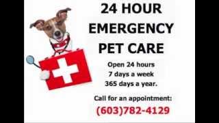 preview picture of video '24 Hour Animal Hospital Concord NH - (603) 782-4129'