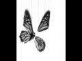 Butterfly with broken wing - A. Weidlich and S ...