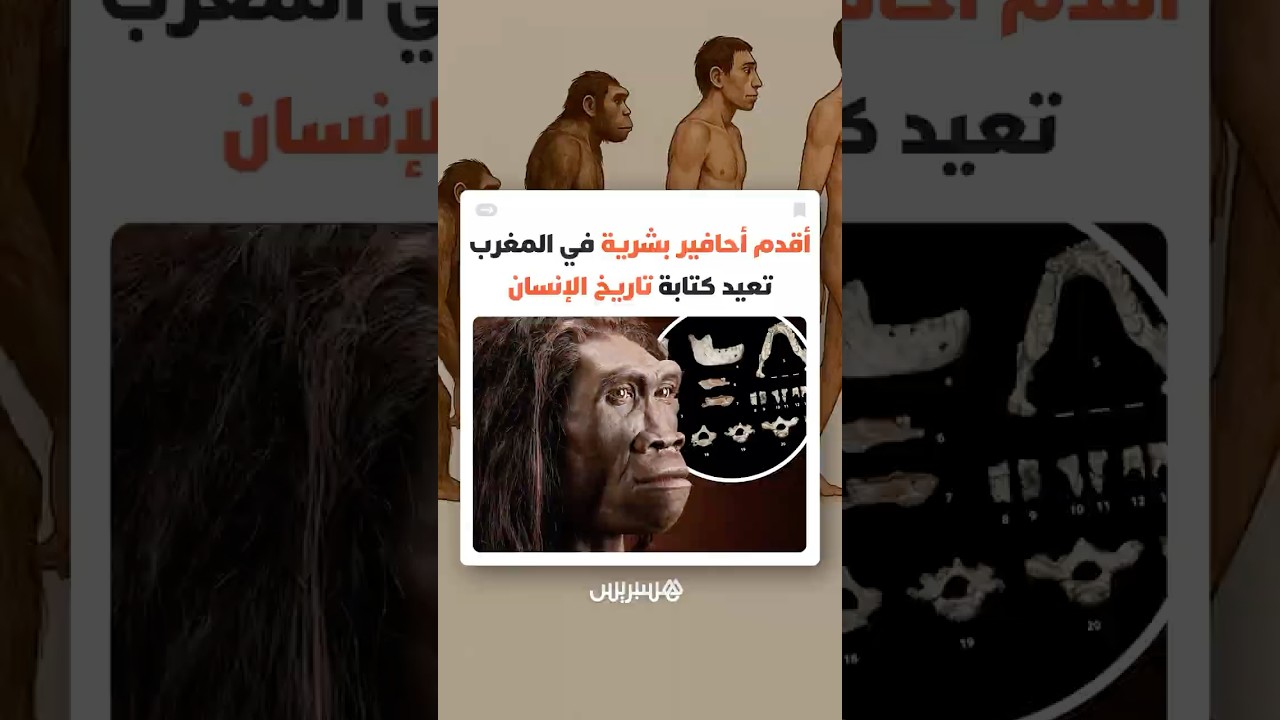 تعود إلى 773 ألف سنة.. أقدم أحافير بشرية في المغرب تعيد كتابة تاريخ الإنسان thumbnail