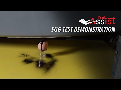 Tailgate Assist Egg Test with Massih
