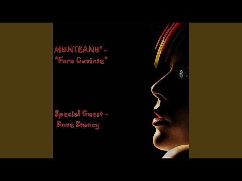 Fara cuvinte (feat. Dave Stancy)