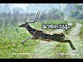 Malayalam Whatsapp Status Video Ee Puzhayum