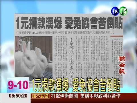 1元捐款湧爆 愛兔協會苦倒貼