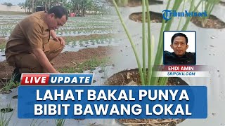 Pemkab Lahat Proses Sertifikasi Benih Bawang Merah Lokal, Segera Didistribusikan ke Petani