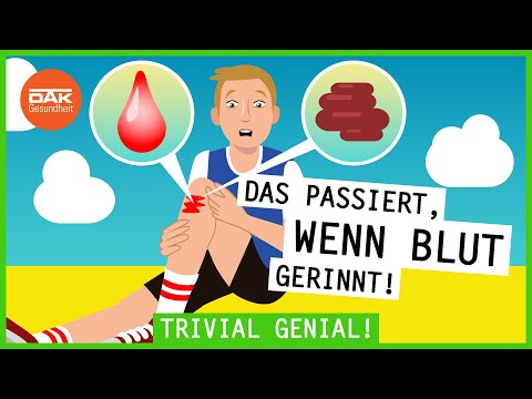 Was passiert bei einer Blutgerinnung? | #trivialgenial | DAK-Gesundheit