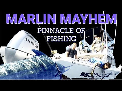 Marlin MAYHEM! Fishing off Tweed Heads and Gold Coast, Australia.