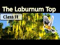 The Laburnum Top class 11 poem animation in english the laburnum top by Ted Hughes