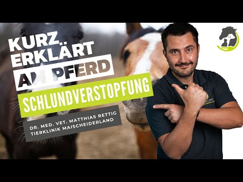 SCHLUNDVERSTOPFUNG - Erklärung, Symptome und Gefahren einer Verstopfung. Kurz erklärt am Pferd!
