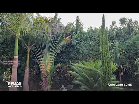 Property video thumbnail