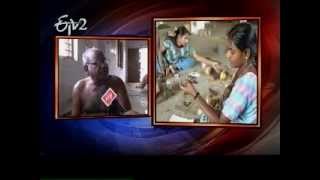 Special story on Bobbili Veena makers