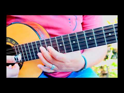 APRENDA A VACA JA FOI PRO BREJO - SOLO -BATIDA- RITMO - E PULO DO GATO