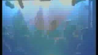 Worm "Patricide Justified"