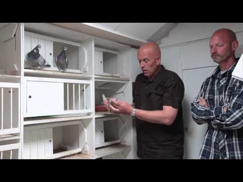 Nationale Winnaars ZLU PAU 2015