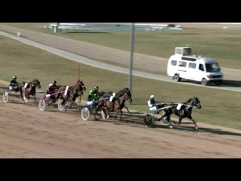 2019.10.12. 03. futam - 2019. ÉVI SEGÉDHAJTÓ KUPA V. FUTAMA HENDIKEP