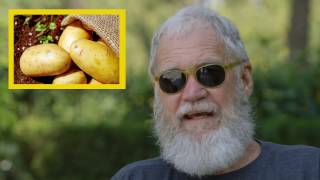 Why I Care - David Letterman