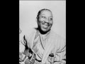 Muddy Waters-You Gonna' miss me (when I'm Dead and Gone)