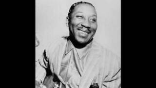 Muddy Waters-You Gonna' miss me (when I'm Dead and Gone)