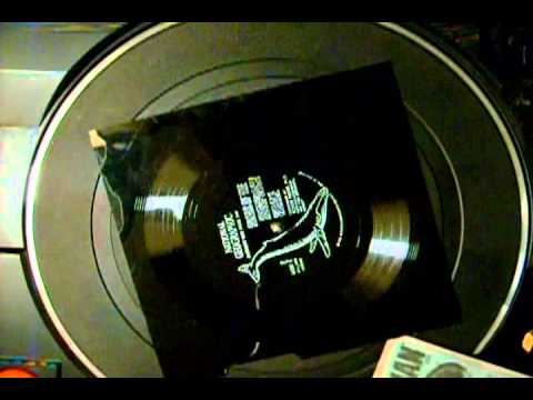 National Geographic - Songs of the Humpback Whale 33 1/3 Flexi-Disc 1979