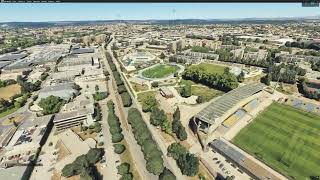 Avignon video
