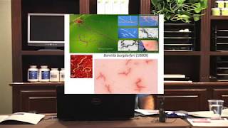 The Truth About Lyme Disease They Don't Want You To Know