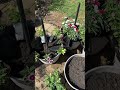 Build A Flower Pot Outdoor Lighting Pole Holder #garden